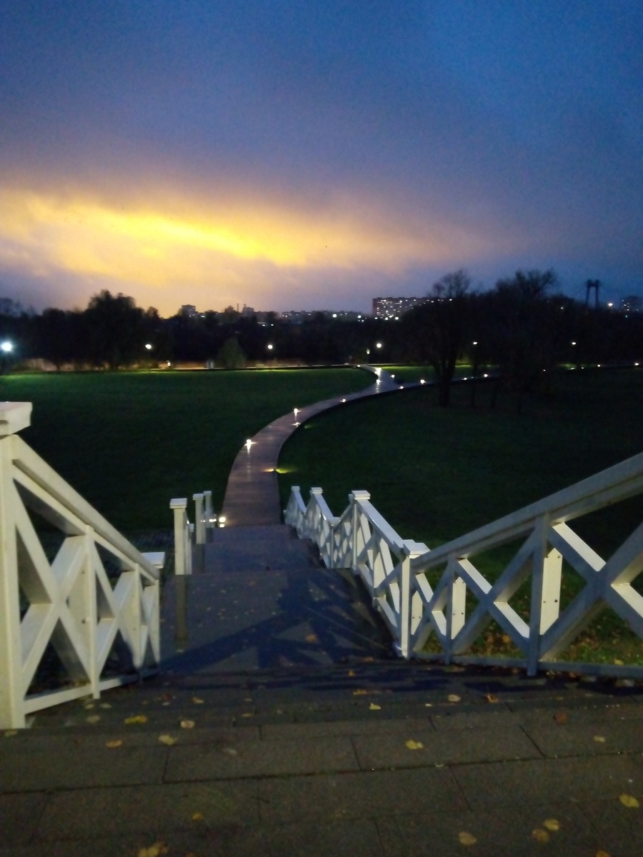 Осенью в парке.  Фото Алены Селивановой