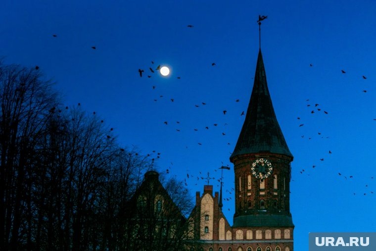     Причиной возможного закрытия стали ситуации с «зондами контрабандистов», заявил Науседа