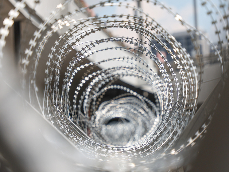     Фото: Belkin Alexey/news.ru/ Global Look Press