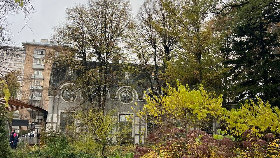 Тайное дерево Петра Великого в Аптекарском огороде