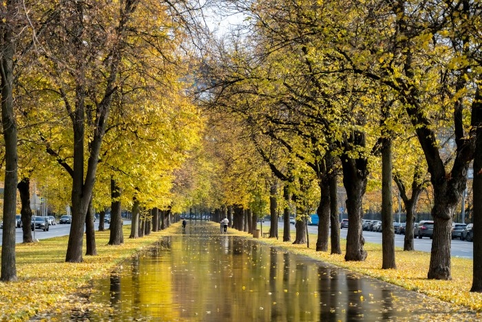 Фото: Юлия Федотова