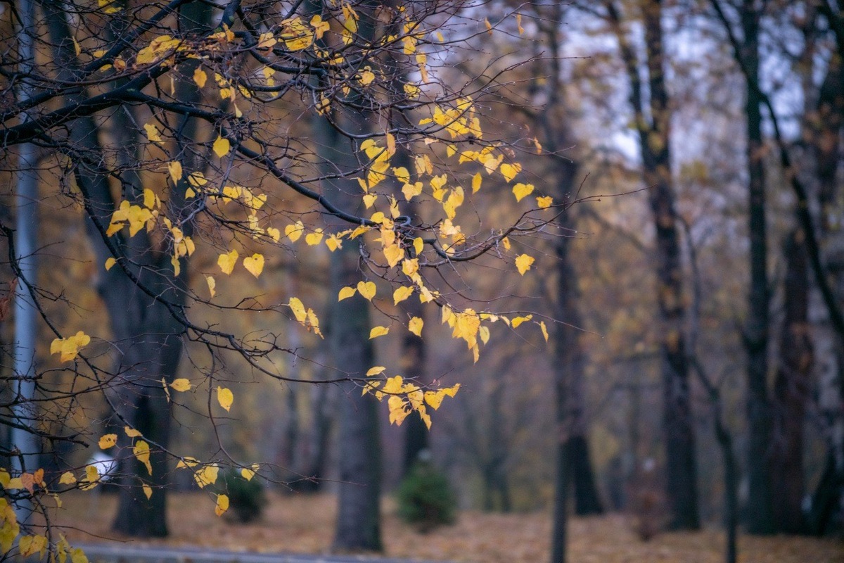 Фото: Юлия Федотова