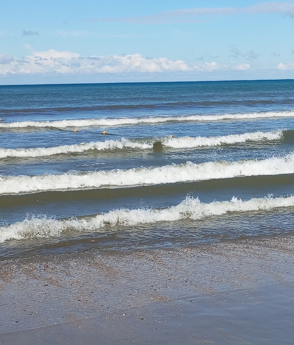 Фото Галашевского В.А. 26 октября 2025 г