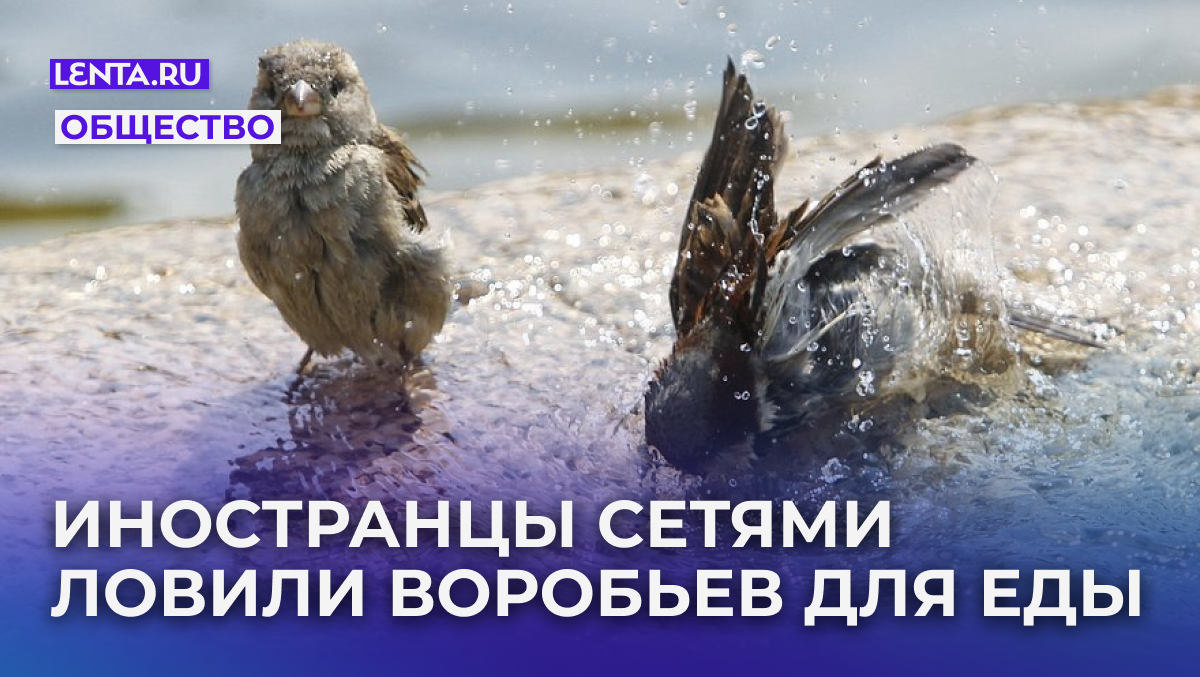 Фото: Sergei Karpukhin / Reuters
