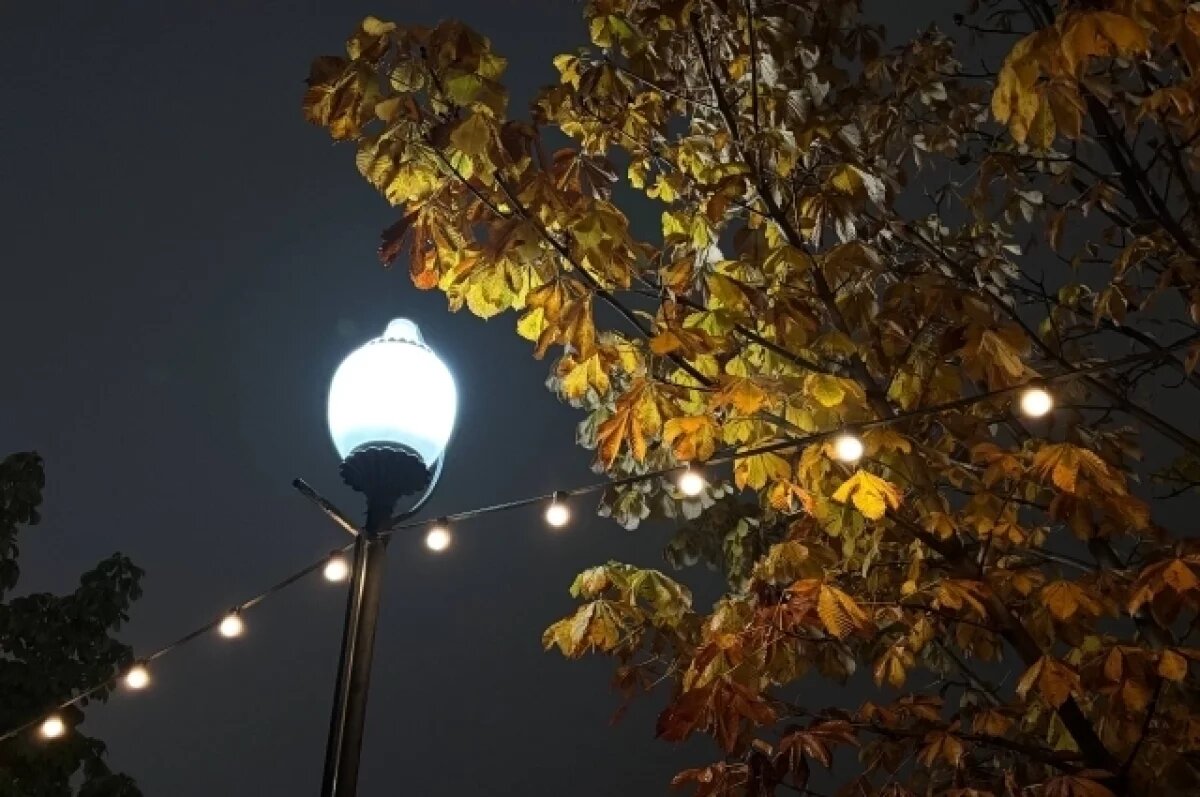    Новосибирск закупит 860 уличных светильников на 12 миллионов рублей