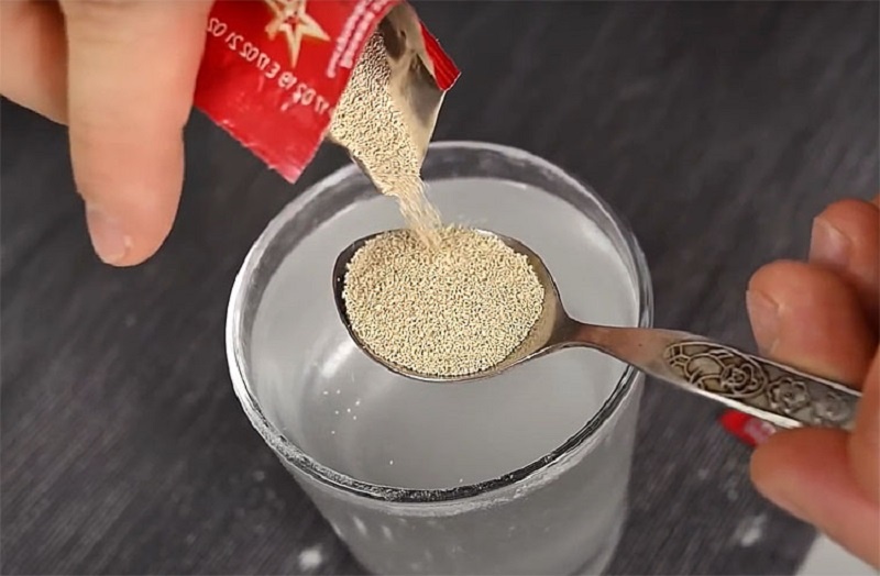 Готовим настоящую итальянскую пиццу дома: секреты золотистой корочки и выпечка на камне