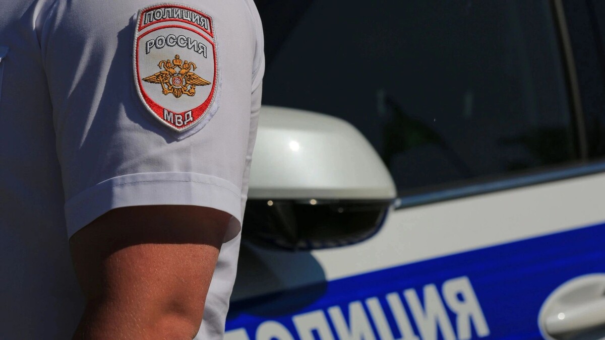    Фото: alleks19760526/Shutterstock/Fotodom