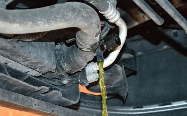 Фото взято с открытых источников. 