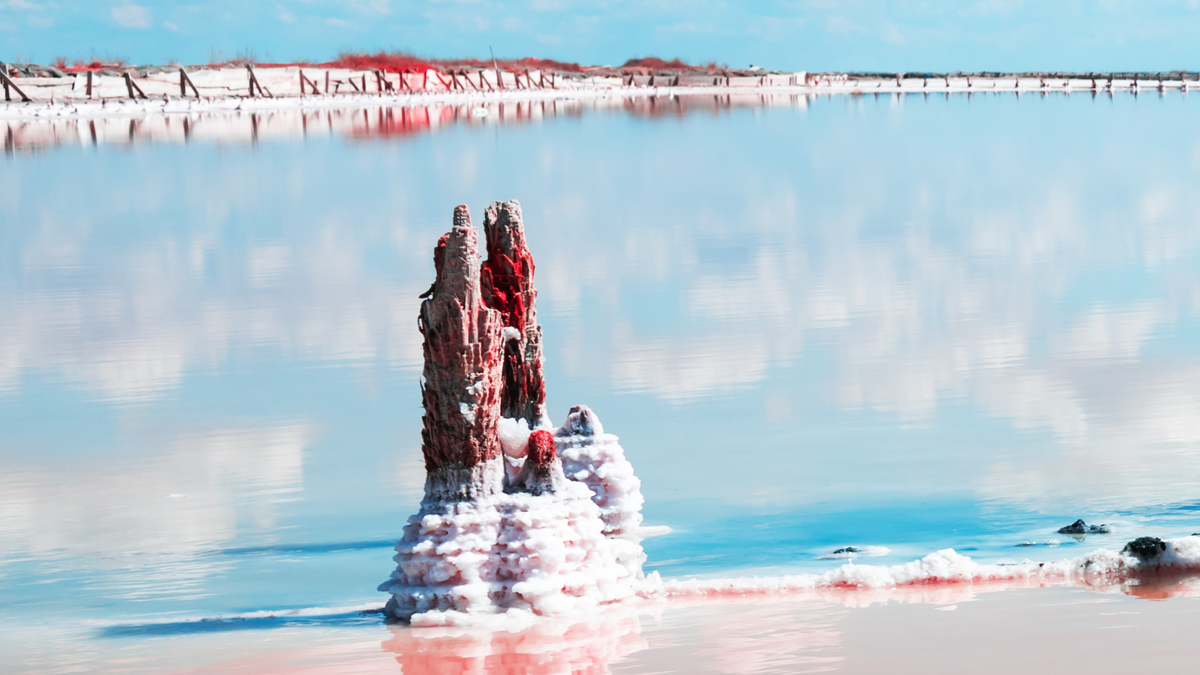 фото озеро Сасык-Сиваш