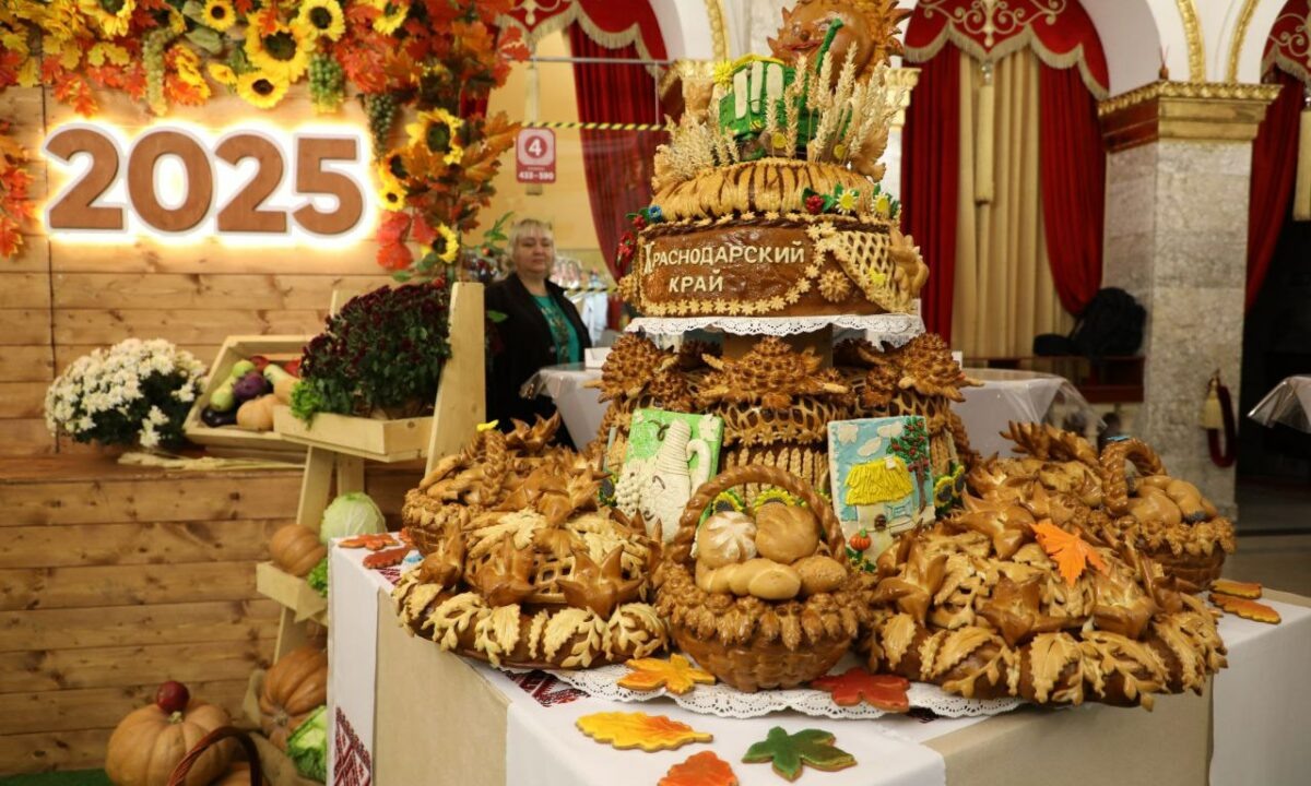    Фото t.me/anapaofficial