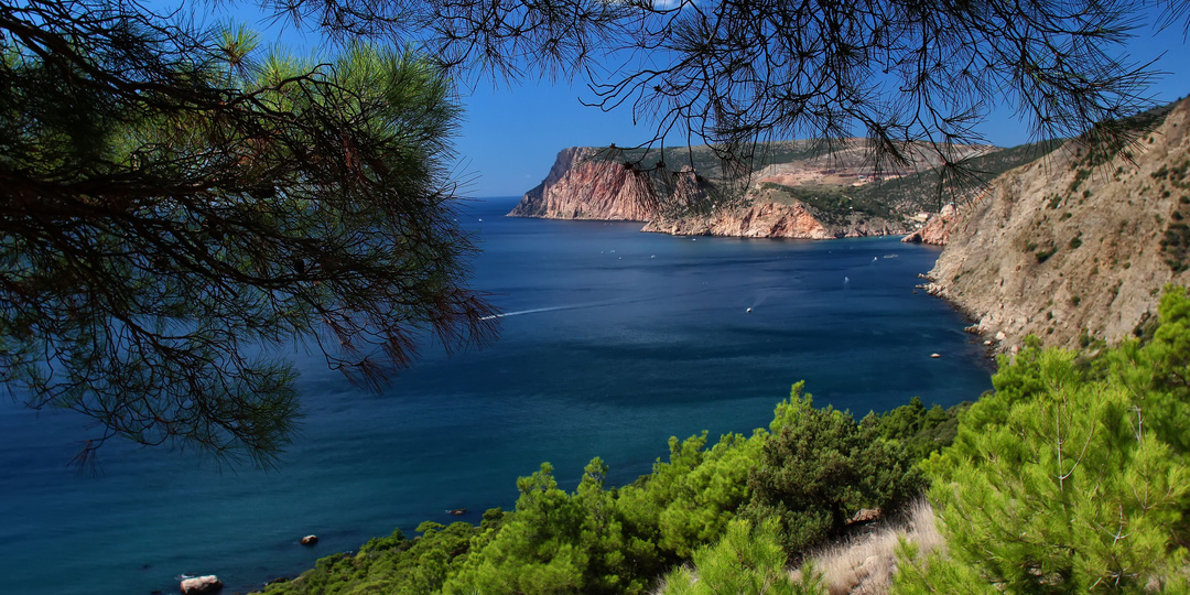 Инжир - тропический рай для дикой жизни в Крыму