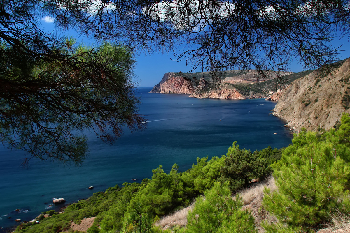 Инжир, Крым