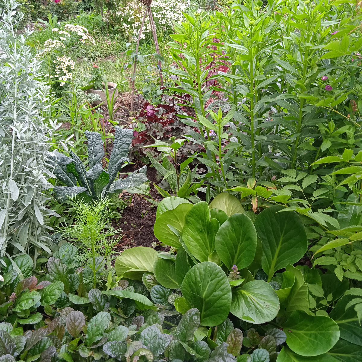 они тут лишние