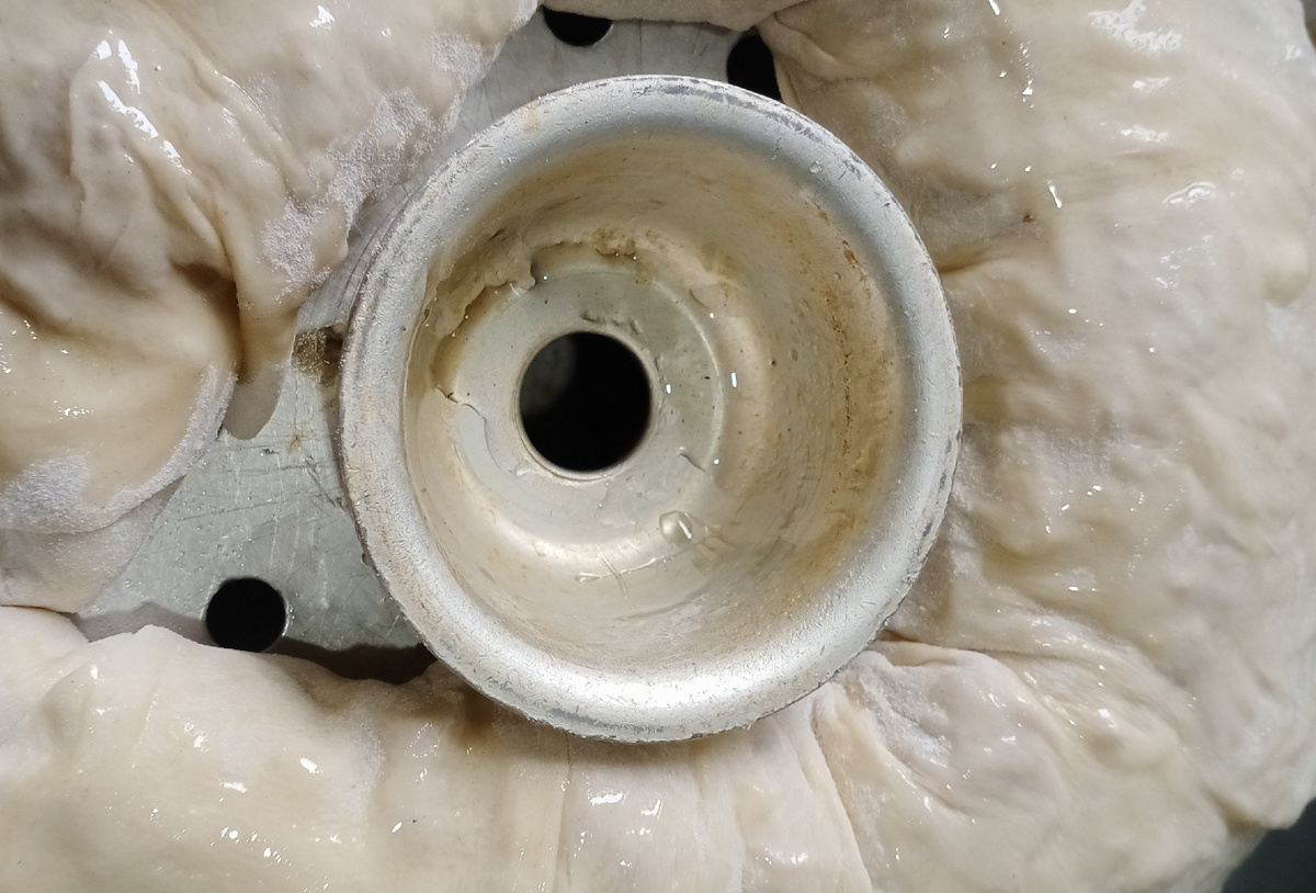 Фото автора. 