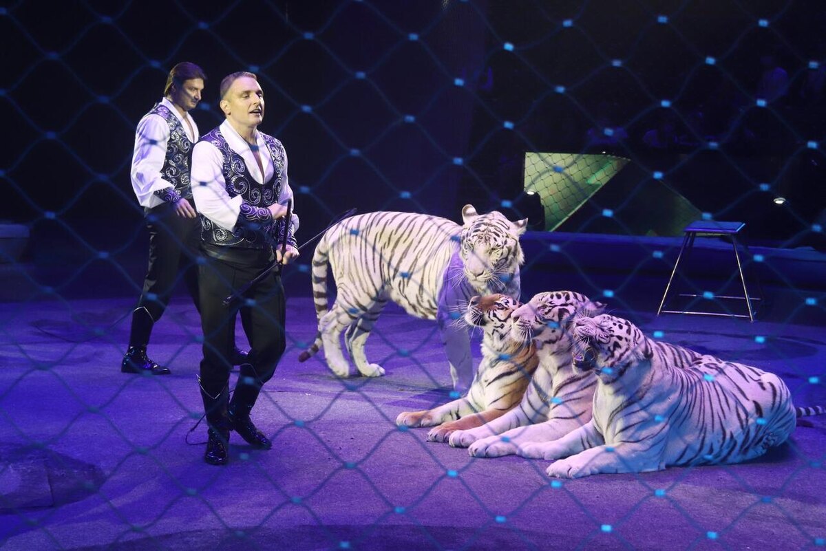    Братья Запашные на арене. © Ekaterina Tsvetkova/globallookpress.com