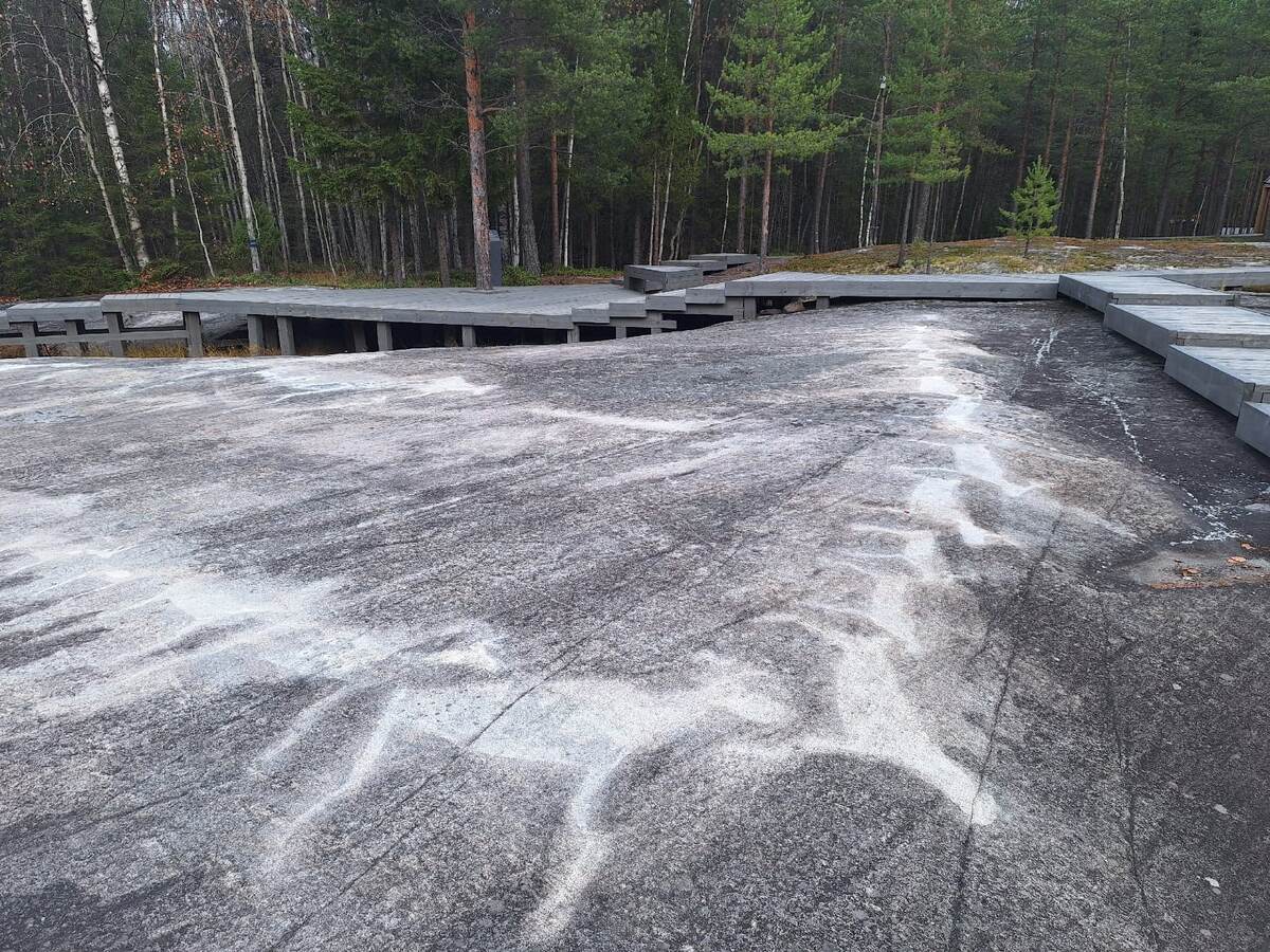 Листайте вправо, чтобы увидеть больше изображений