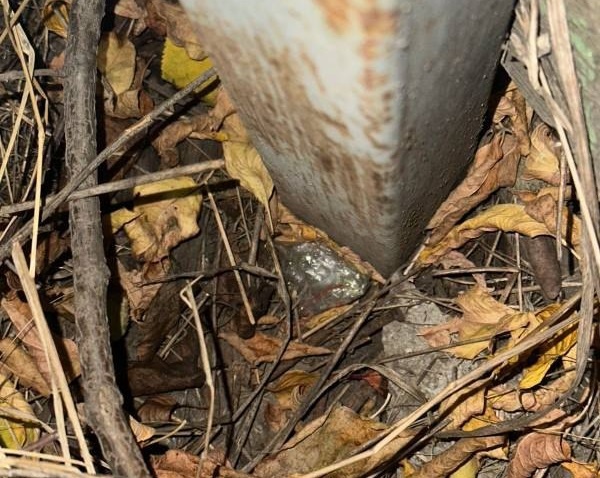    Фото ТГ-канала ГУ МВД России по Ростовской области Редактор