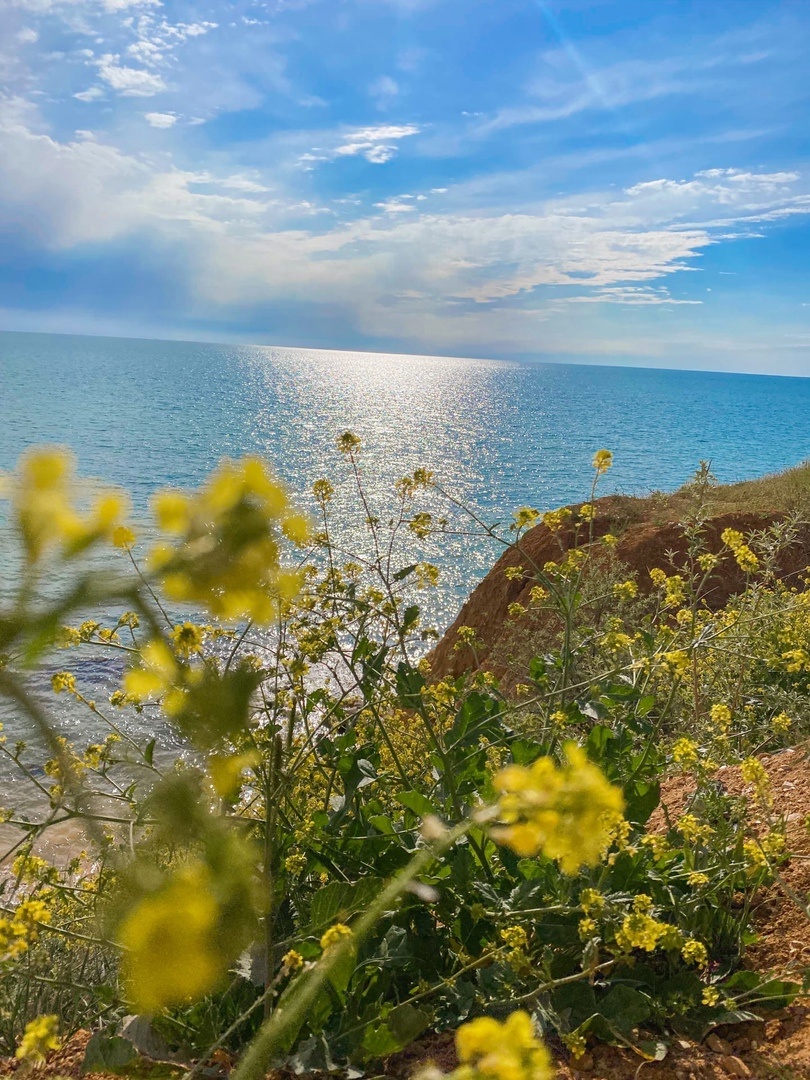 из свободных источников