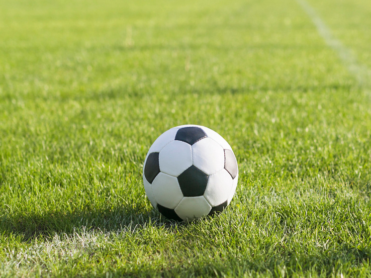     Источник: FreePic