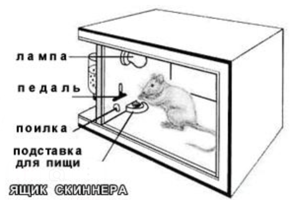 Ящик Скиненера. Иллюстрация из практикума по психологии активности и поведения. Про ящик Скиннера я узнал, когда начал играть в WOT. 