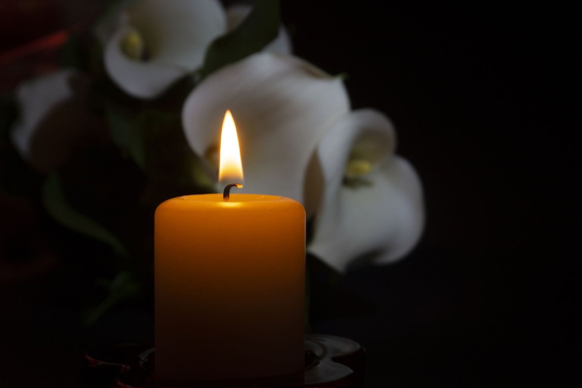    Фото: Istock/NetPix