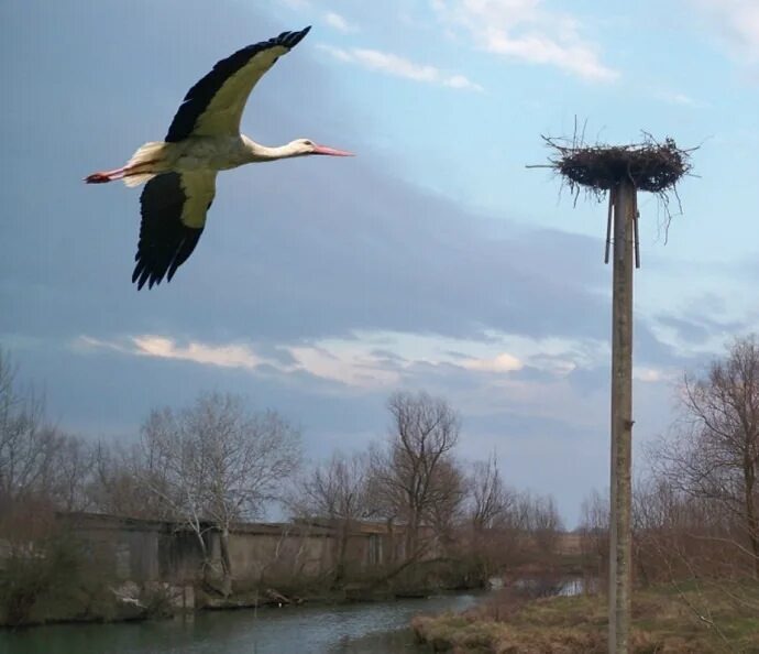 Иллюстрация из свободных источников