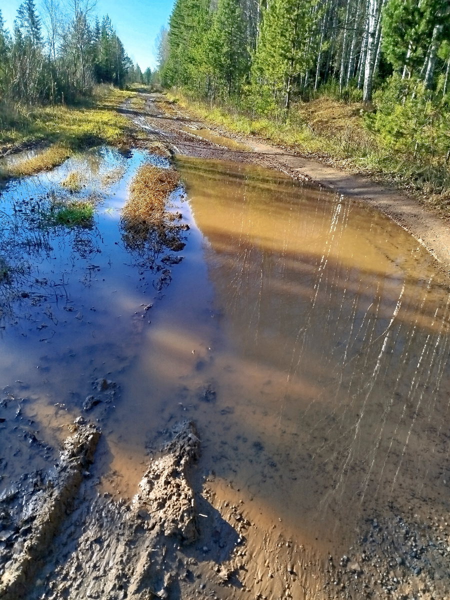 Старый Сибирский тракт.