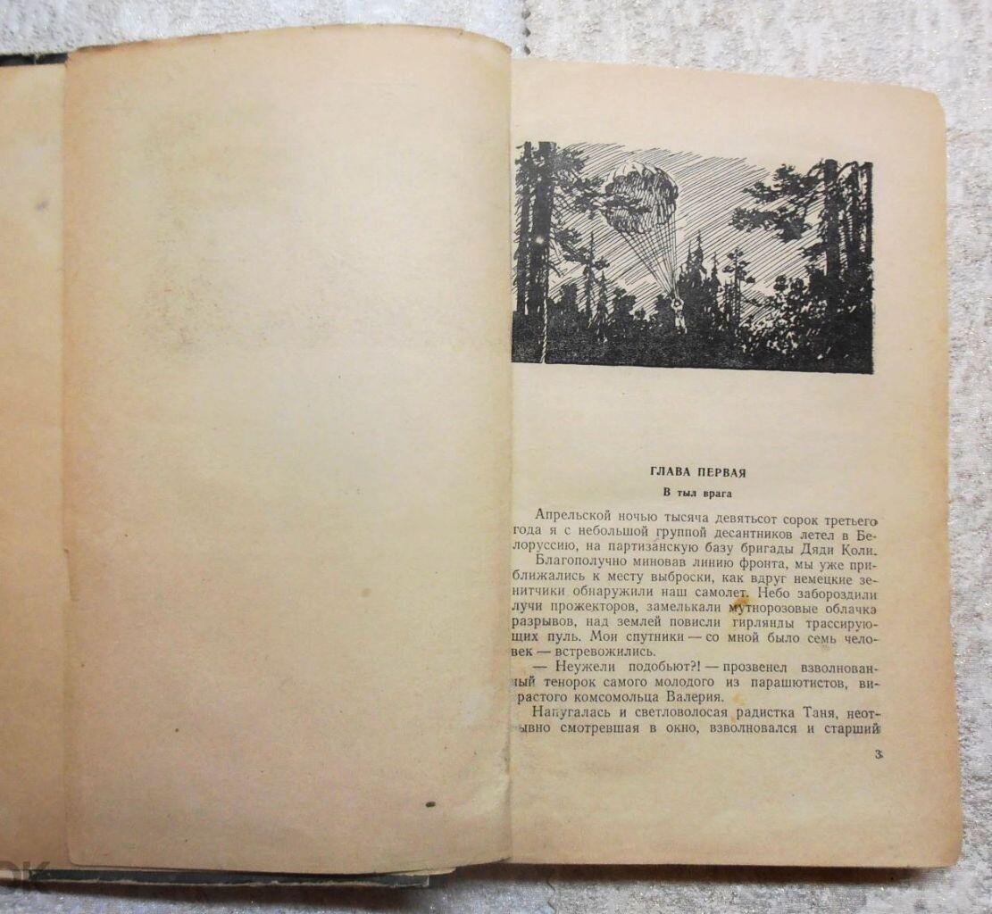 Начало романа