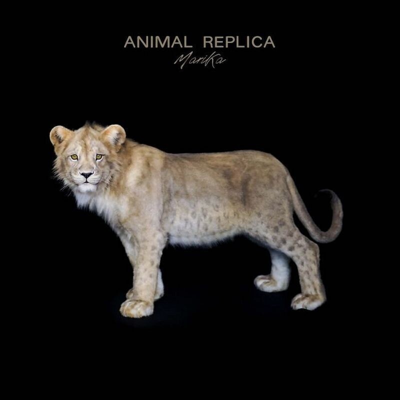    14 реалистичных копий животных или новая эра таксидермии