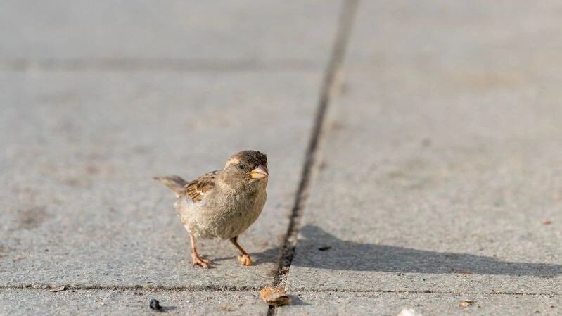    Фото: Андрей Ткачев/«Ямал-Медиа»