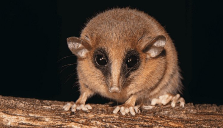 Источник новости: https://nia.eco/2025/10/20/109002/