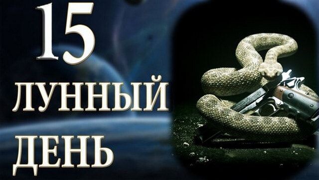 фото из интернета