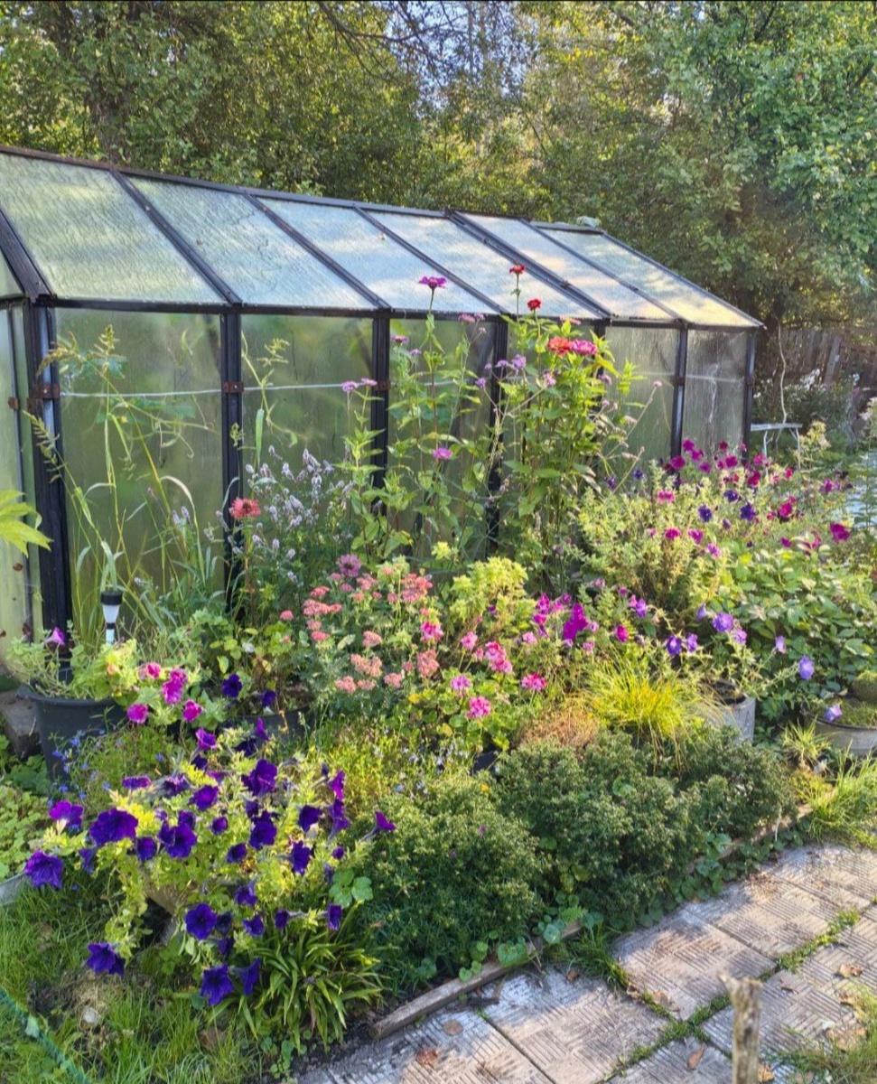 Контейнерный сад осенью