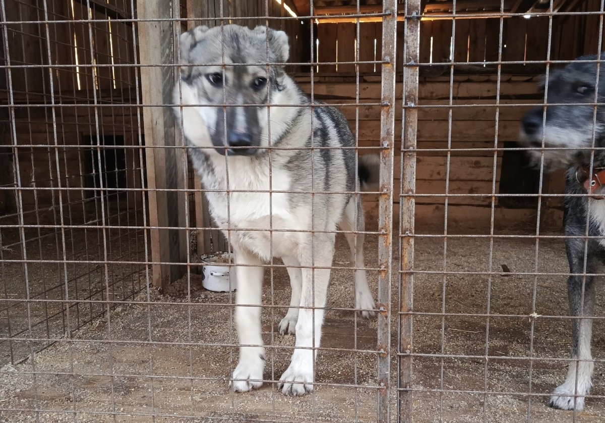 Что случилось ? Почему я здесь?