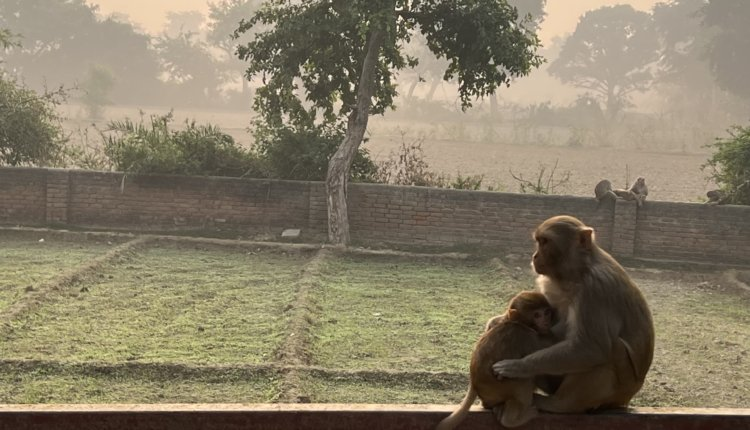 Источник новости: https://nia.eco/2025/10/22/109079/