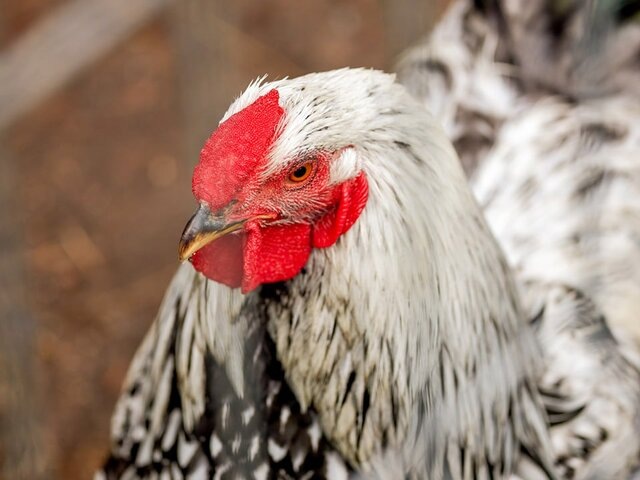   Фото: портал мэра и правительства Москвы/Максим Денисов
