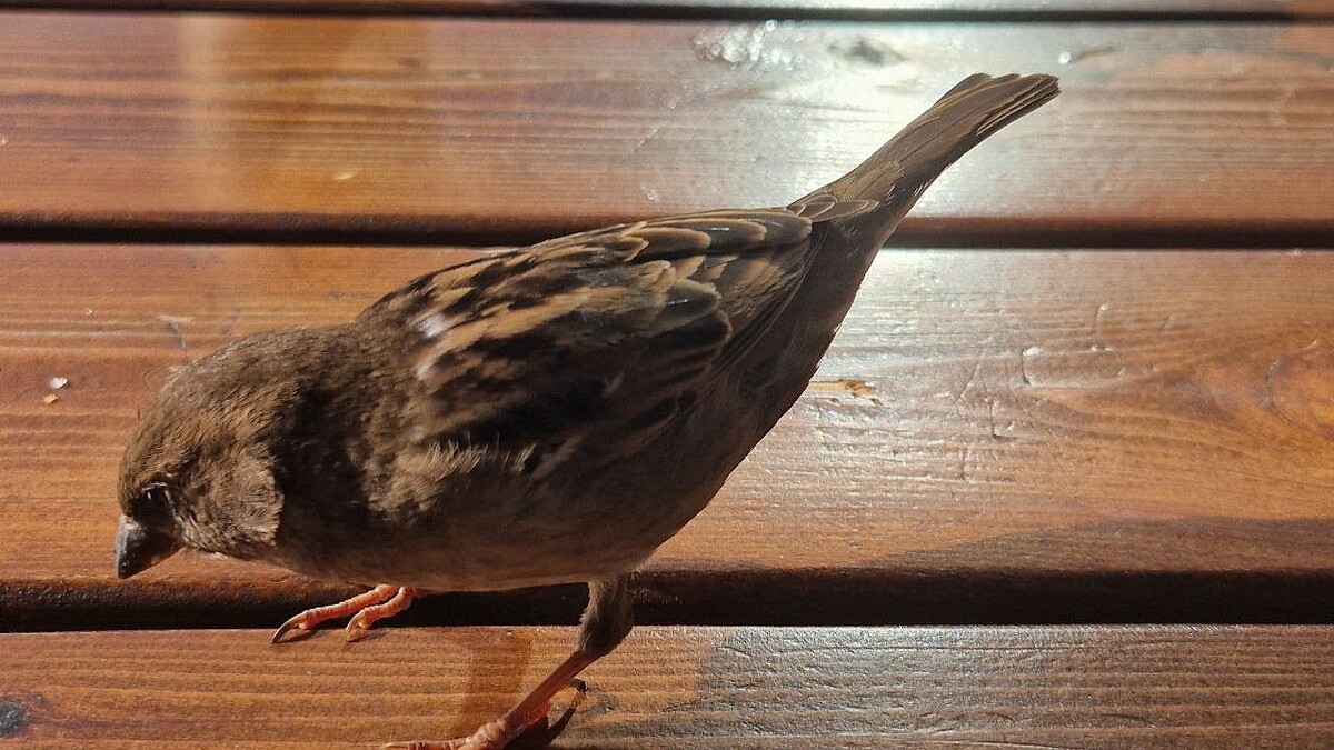    Фото: телеканал «Краснодар»