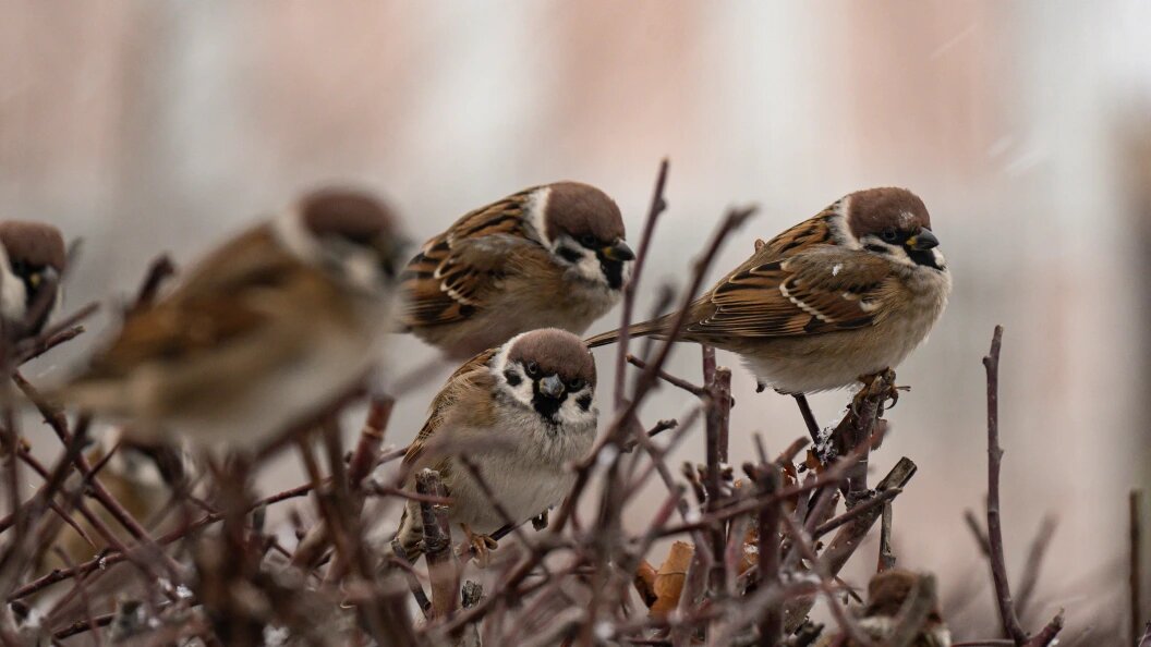    Ruslan Yarocky/URA.RU/Globallookpress