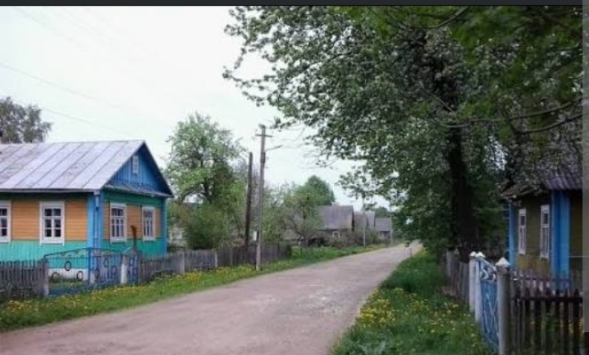 Фото из интернета 