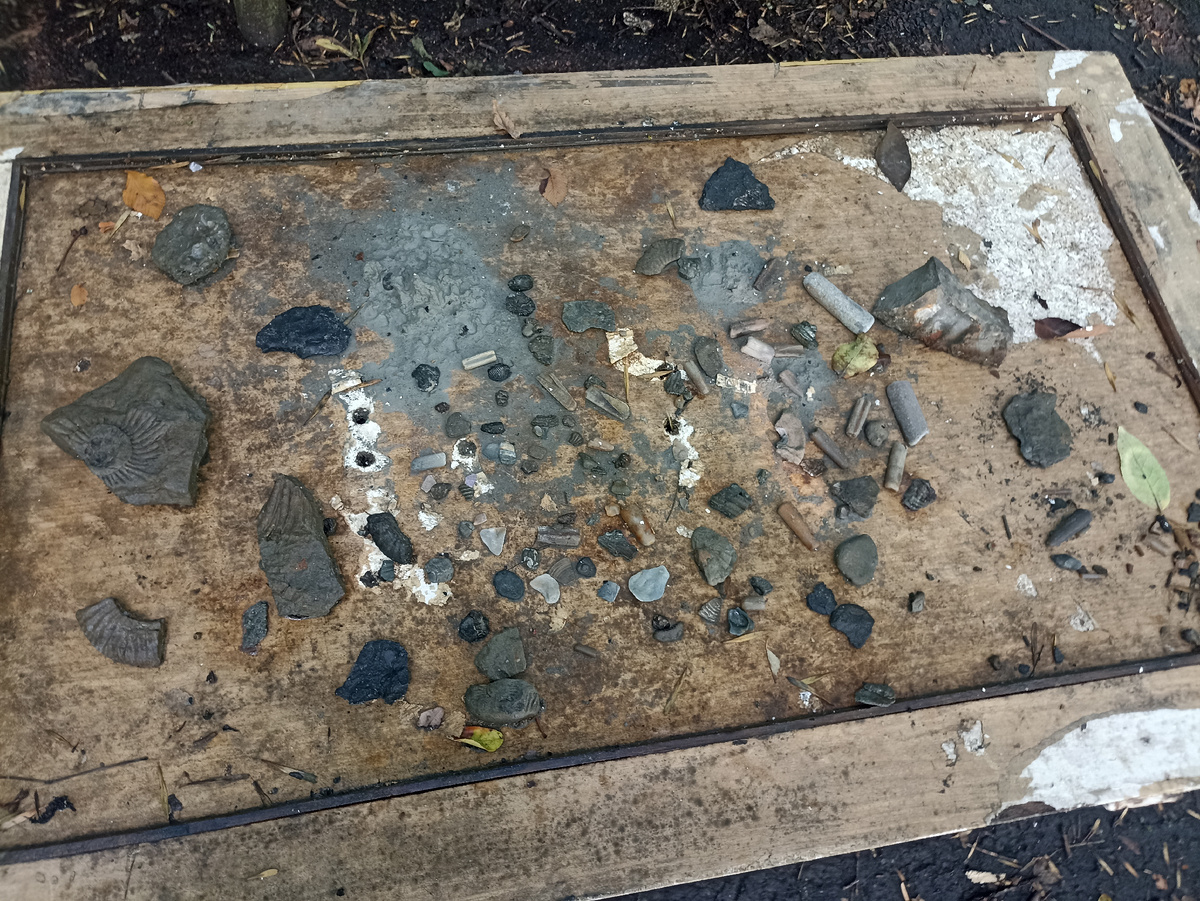 "Выставка" находок