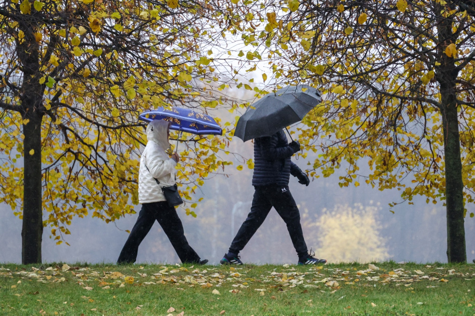    Алексей Белкин/NEWS.ru