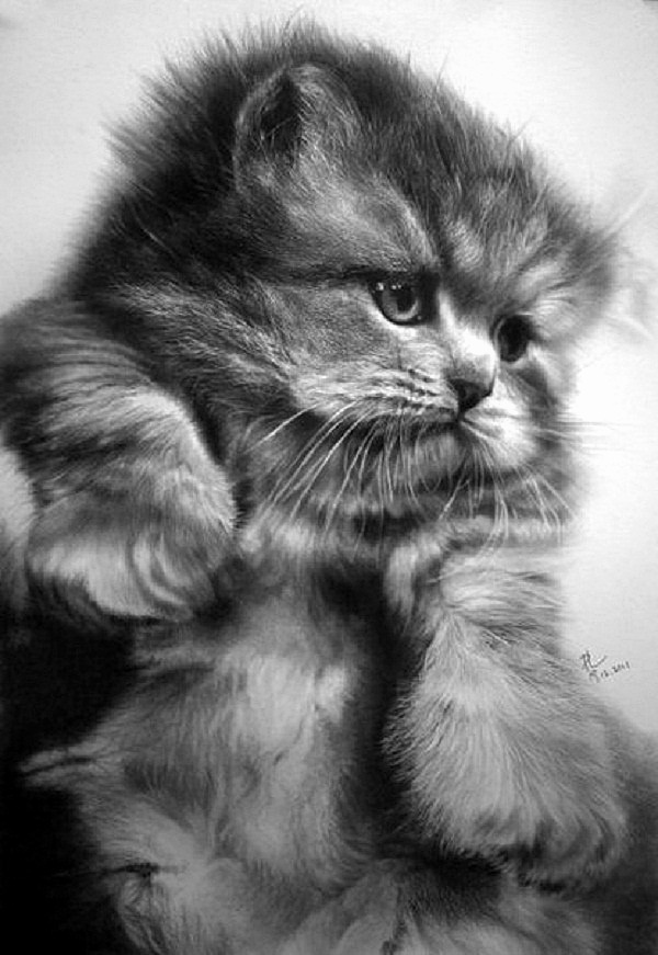 ПАУЛЬ ЛУНГ. Рисунок КАРАНДАШОМ.