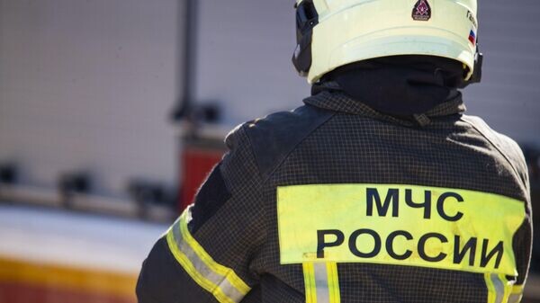    © Sputnik / Дмитрий Макеев