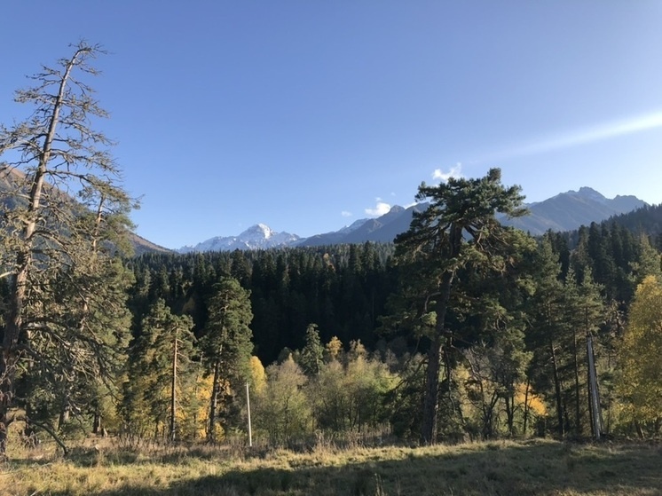     Фото: "МК-Кавказ"