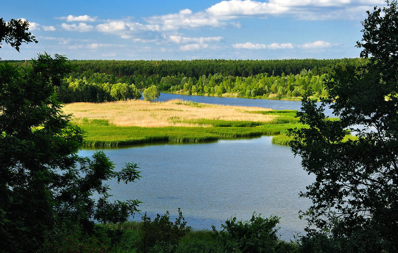 Белгородское водохранилище. Фотоматериал: Яндекс Карты