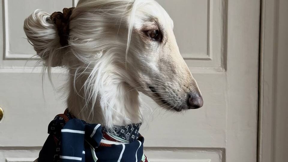 Маркетинг — это не только про продажи, но и про восприятие