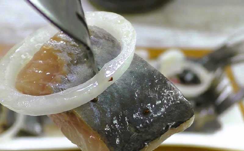 Северная селёдка семужного посола: секреты идеальной засолки от дальневосточных рыбаков