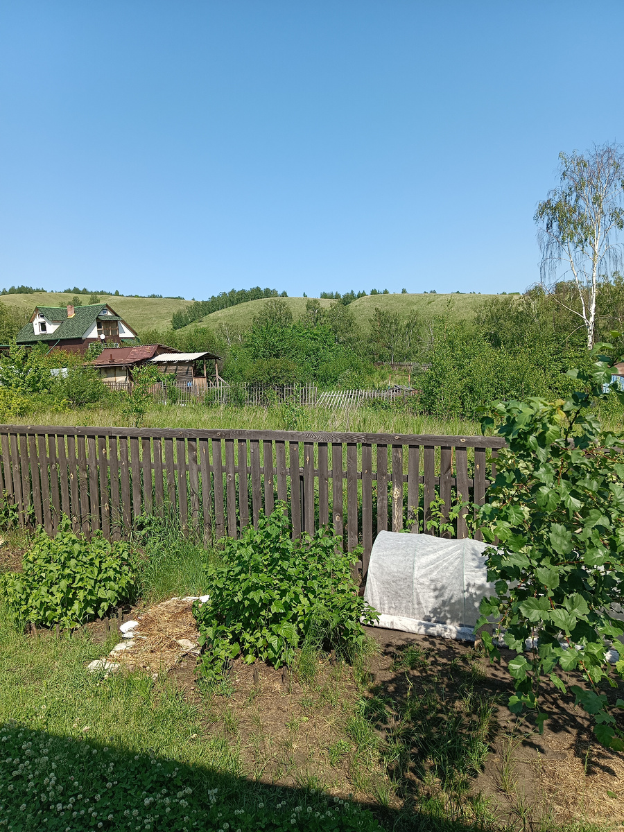 Вид на холмы с нашего участка (летом)