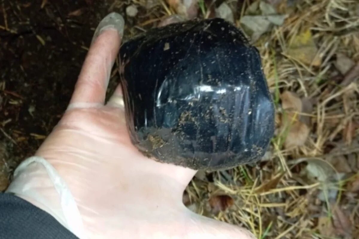    В челябинском парке Гагарина поймали наркокурьера с 400 гр «соли»