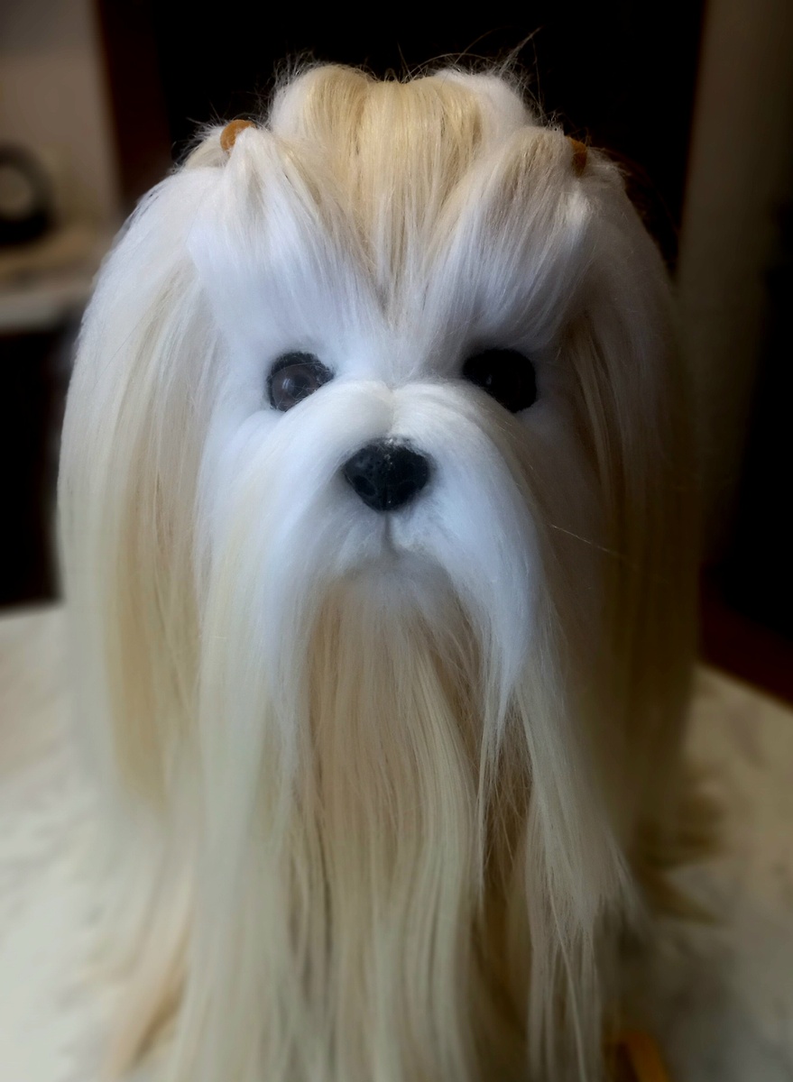 Фото автора. 